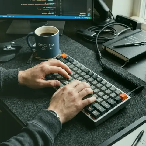 Birke Zwerg – Integration mit Tools